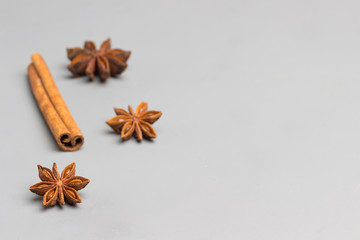 Herbal therapy concept. Spice set:cinnamon sticks, star anise on light background.