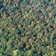 vue aérienne de la forêt à l'automne à Arnouville-les-Mantes dans les Yvelines en France