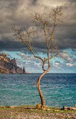 Crimea January 4, 2020 Quiet Bay. Located in the Crimea Between the village of Resort and Sunny Valley.