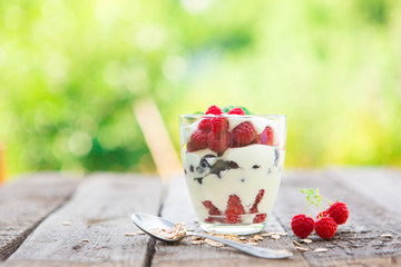 Ice cream or frozen yoghurt over green garden background
