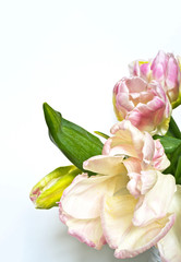 Naklejka na ściany i meble Beautiful bouquet of tulips. Greeting card for the day of March 8, message, invitation to the holiday, place for text. Spring floral background, close up, copy space