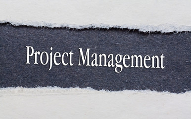 Rip Blue Paper and white background with project management words