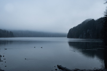Obraz na płótnie Canvas Dark lake in the fog in winter