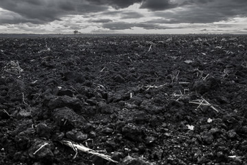 Black ground field and sky 