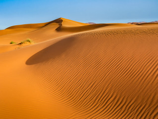 Fototapeta na wymiar Amazing view of sand dunes in the Sahara Desert. Location: Sahara Desert, Merzouga, Morocco. Artistic picture. Beauty world. Travel concept.