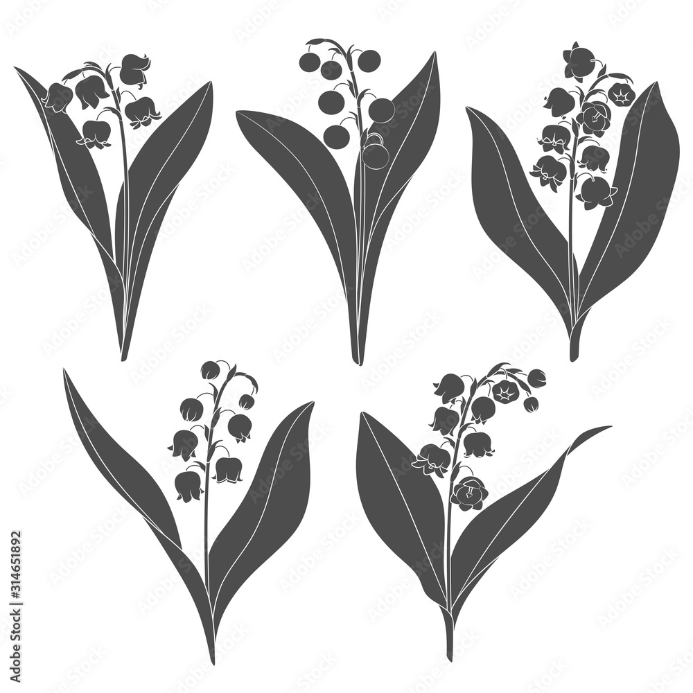 Poster set of black and white images with lilies of the valley. isolated vector objects on a white backgrou