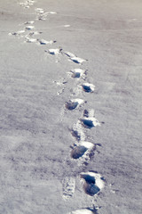 snow drifts