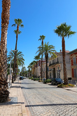 Fototapeta na wymiar France - Provence - Hyères - street with palm trees
