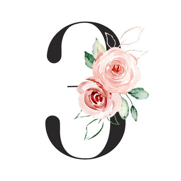 Number 3 with watercolor flowers roses and leaf. Perfectly for wedding, birthday invitations, greeting card, logo and other floral design. Hand painting. Isolated on white background. 