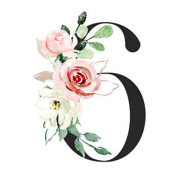 Number 6 with watercolor flowers roses and leaf. Perfectly for wedding, birthday invitations, greeting card, logo and other floral design. Hand painting. Isolated on white background. 