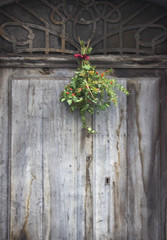 Christmas decoration holly on the wooden door, retro background