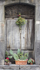 Fototapeta na wymiar Christmas decoration holly on the wooden door, retro background