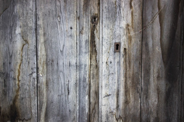 wooden old door, retro background