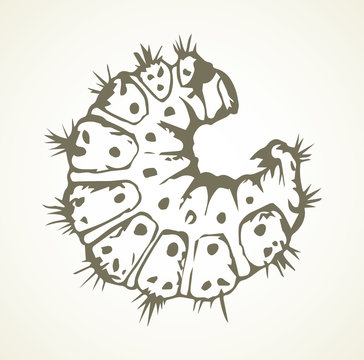 Little caterpillar. Vector sketch drawing