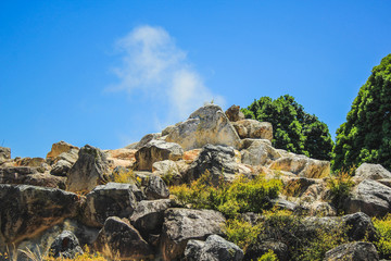 Geothermal activity at Kuirau Park in Rotorua, North Island, New Zealand