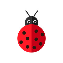 Fototapeta premium ladybug vector illustration. cute ladybug spring insect