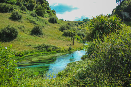 Beautiful scenery at Blue Spring in Putaruru between Hamilton and Rotorua, North Island, New Zealand