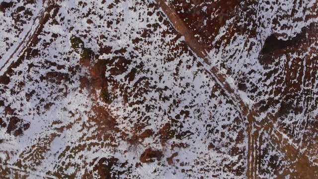 4K Aerial View of a Reindeer Herd Walking on a Path Along the Snow Covered Barren Landscape in Bj&ouml;rkliden, Abisko National Park, Kiruna Municipality, Sweden.