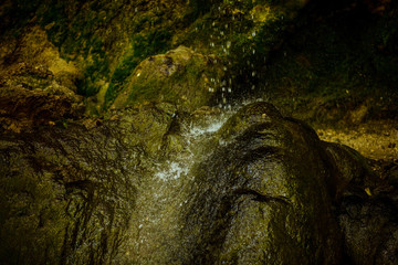 Nature's most precious resource.