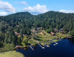 Photogenic Spring Lake on a bright clear day in summertime with trees reflecting in the water a blue sky and white clouds with lily pads dockside in Renton King County Washington State