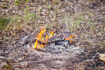 Burning dry twigs. Bonfire at a camp in summer evening outdoors