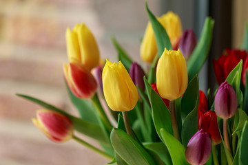 Bouquet of yellow, purple and red tulips in vase on the window.