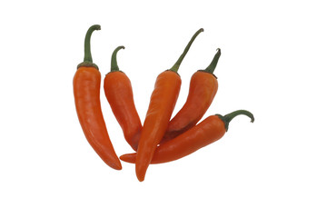 Fresh hot red pepper on white background