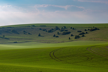 Naklejka premium A green Sussex farm landscape on a sunny spring morning