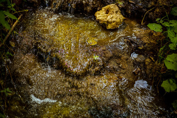 Water gives us peace.