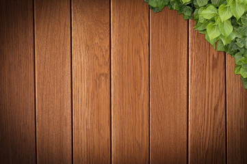 Wood planks covered by green leaves. Green ivy leaves climbing on wooden fence. Natural background texture.