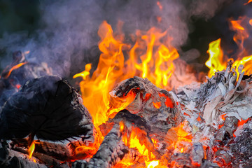 Bonfire at a camp in summer evening outdoors