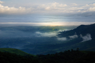 Mountains  forests  fog  Phu Thap Boek