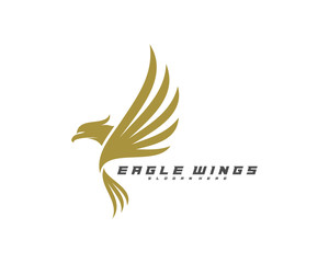 Flying Eagle Logo Design Vector, Creative design, Template, illustration