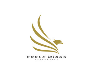 Flying Eagle Logo Design Vector, Creative design, Template, illustration