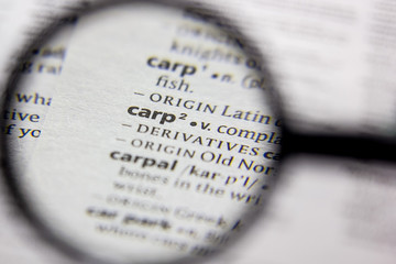Word or phrase Carp in a dictionary.