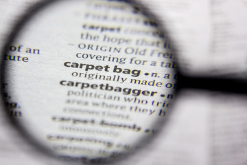 Word or phrase Carpet bag in a dictionary.
