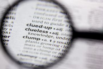 Word or phrase Clueless in a dictionary.