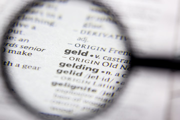 Fototapeta premium Word or phrase Geld in a dictionary.