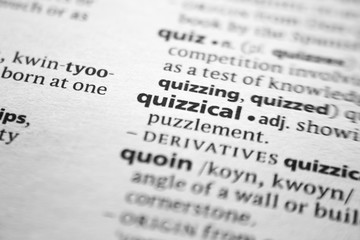 Word or phrase Quizzical in a dictionary.
