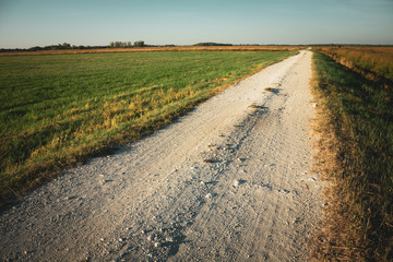 A straight and long gravel road, horizon and blue sky in Gotówka, Poland