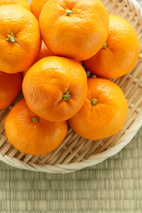 ザルに盛られたみかん