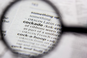 Word or phrase Cockade in a dictionary.