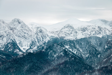 landscape mountains forest and snow