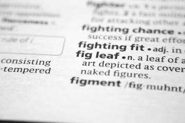 Fototapeta premium Word or phrase Fig leaf in a dictionary.