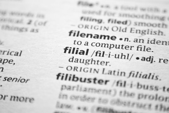 Word or phrase Filial in a dictionary.