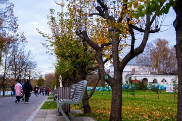 autumn, track, tree, leaves, walk
