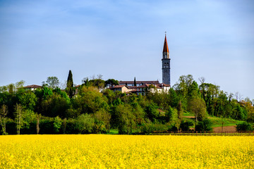 Fields of colza in front of an italian village