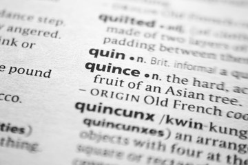 Fototapeta premium Word or phrase Quince in a dictionary.