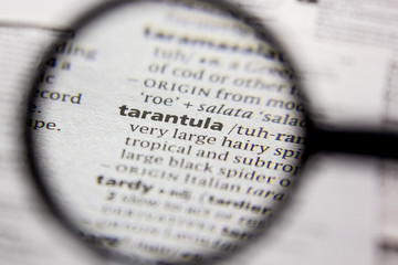 Word or phrase Tarantula in a dictionary.
