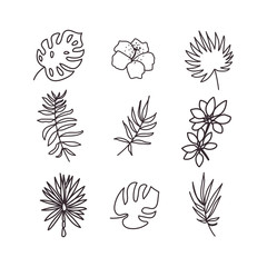 Tropical plants icons set icons. Silhouettes of monstera, coconut, tropics, nature, eco. Concept: the design of the menu, discounts, beach, cocktails, menu. Hand drawing. Vector. EPS 10.